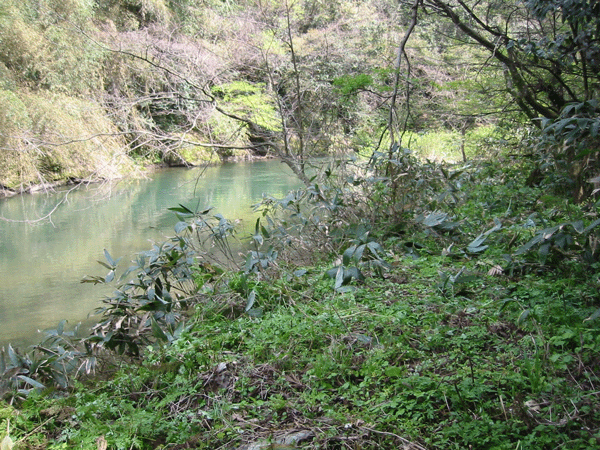 d0094868_1252150.gif