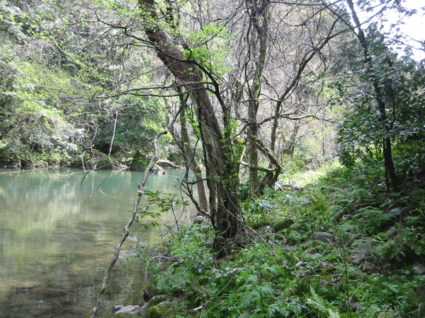 d0094868_12523194.gif