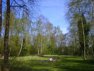 e0005868_2141292.jpg