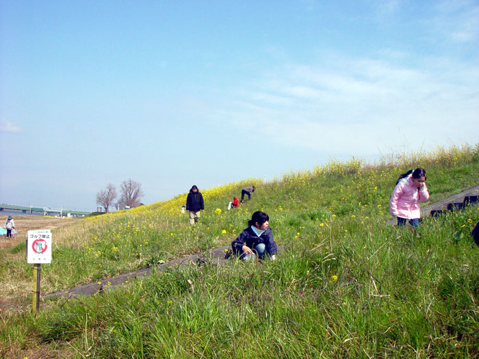 a0068370_03020.jpg