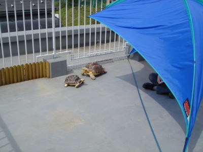 b0055276_024453.jpg