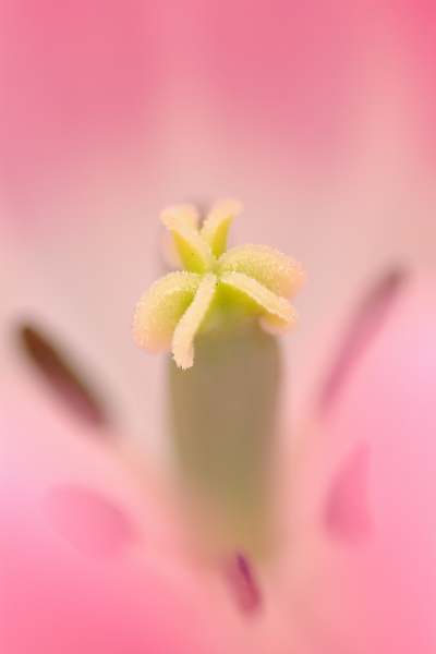 e0051186_2012519.jpg