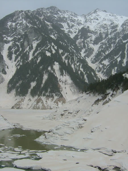 f0087787_11452275.jpg
