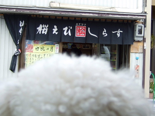 b0104592_18411466.jpg