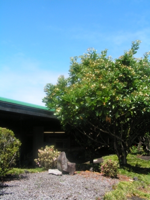 d0032693_9283833.jpg