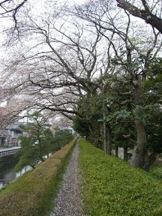 a0057402_0305327.jpg