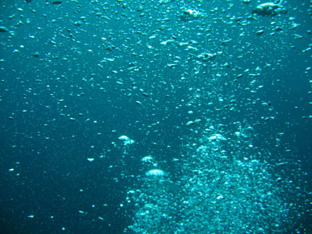 a0087302_22461558.jpg
