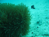 a0087302_23124035.jpg