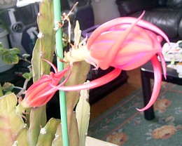 f0032403_01259.jpg