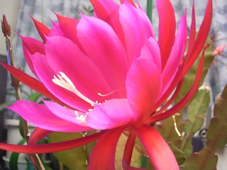 f0032403_064031.jpg