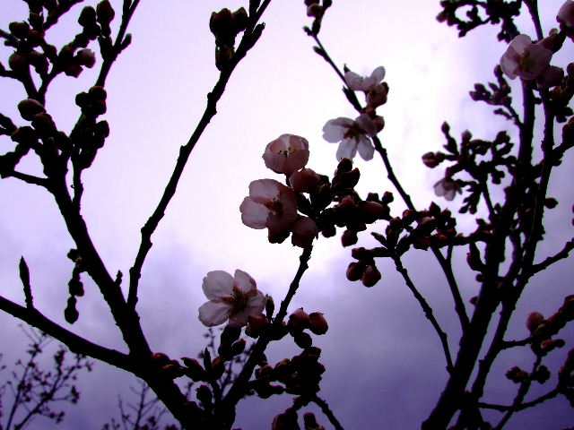d0024504_10275883.jpg