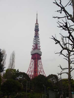 c0093205_2284110.jpg