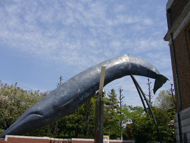 e0015108_2451340.jpg