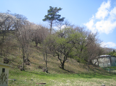 b0087512_16554388.jpg