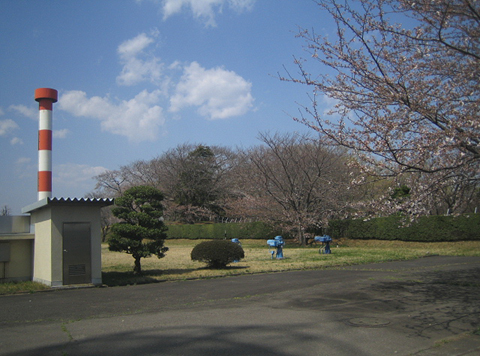 b0087512_16562764.jpg