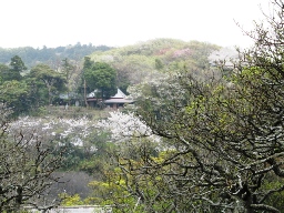 a0043326_0453744.jpg