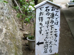 a0043326_0561240.jpg