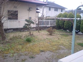 b0041532_10233559.jpg