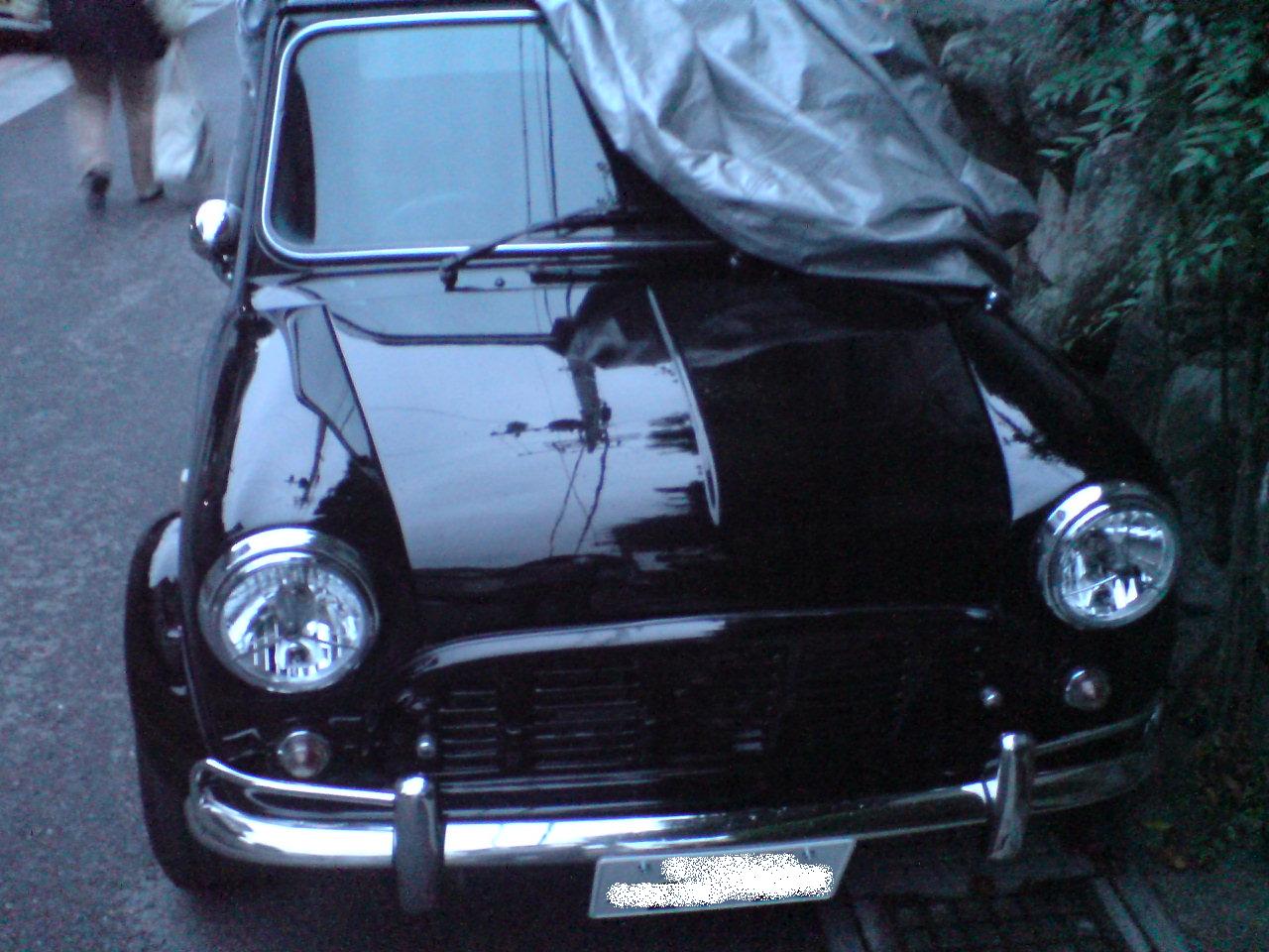d0051133_10354917.jpg