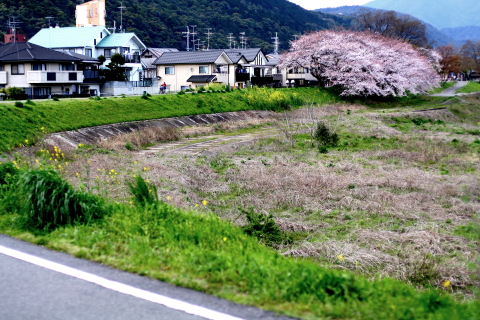 a0024250_4364898.jpg