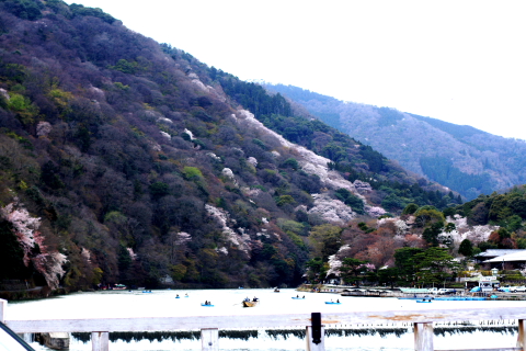 a0024250_4371694.jpg
