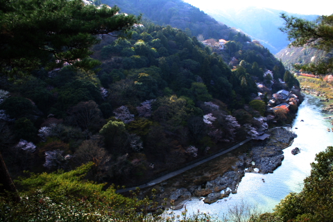 a0024250_4381727.jpg