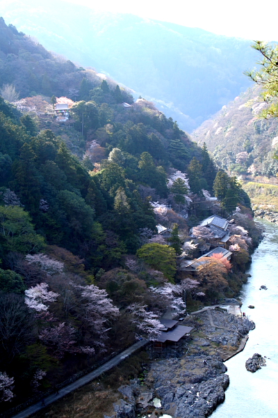 a0024250_4383116.jpg