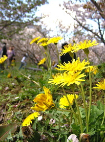 c0043751_221584.jpg