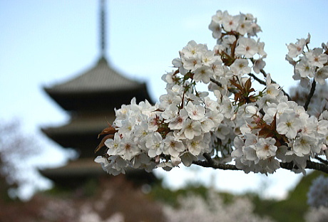 c0043751_2295638.jpg