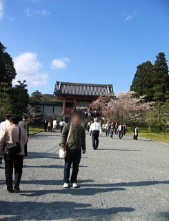 c0043751_265046.jpg
