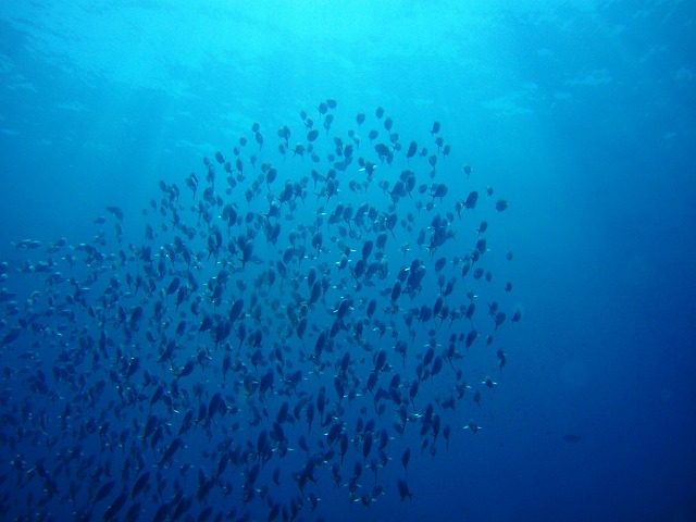 d0116353_23551139.jpg