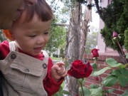 a0048361_15332425.jpg