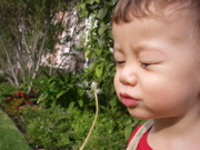 a0048361_15334246.jpg