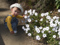 a0048361_1636328.jpg