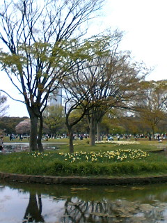 a0064865_14463274.jpg