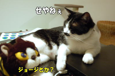 b0041182_0283090.jpg