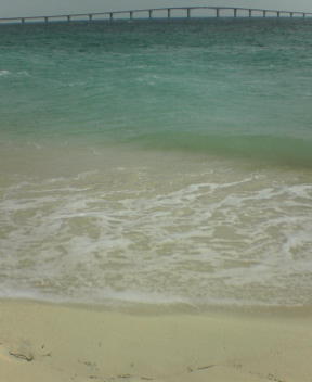 f0137483_1171484.jpg
