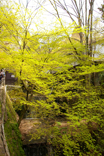 b0080789_21312286.jpg