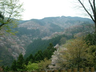 b0098392_9155474.jpg