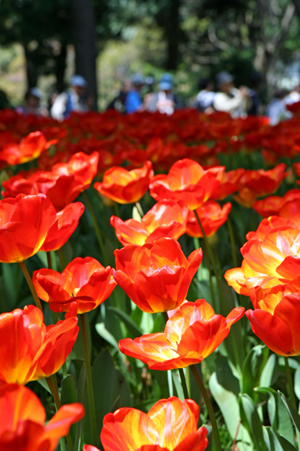 c0025895_1322138.jpg