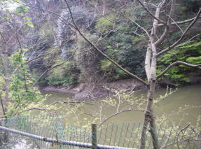 c0008598_16235437.jpg