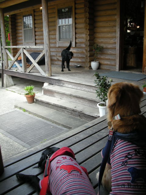 c0017311_1122679.jpg