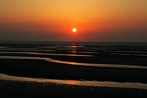 b0003512_931335.jpg