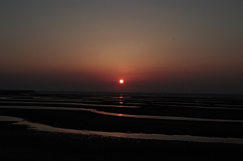 b0003512_9362092.jpg