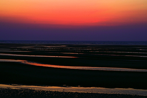 b0003512_950530.jpg