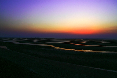 b0003512_953473.jpg
