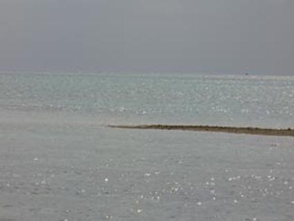 d0114721_22492371.jpg
