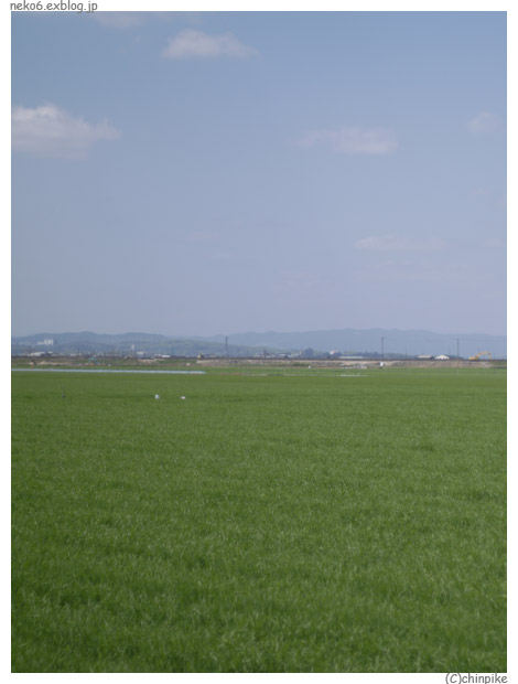 b0001124_644496.jpg