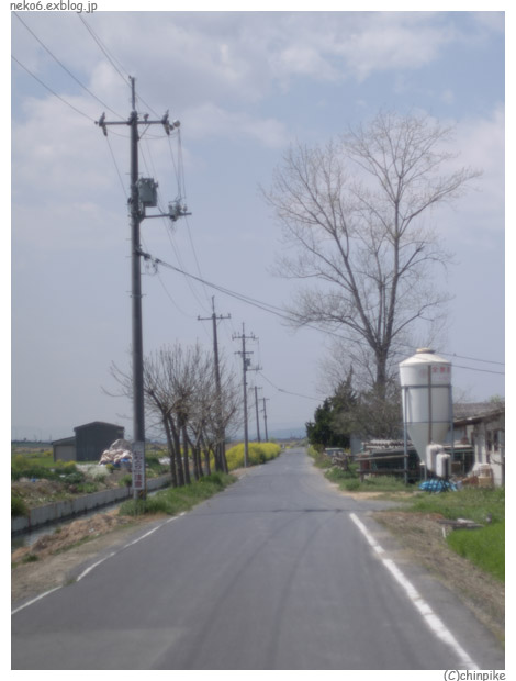 b0001124_645896.jpg