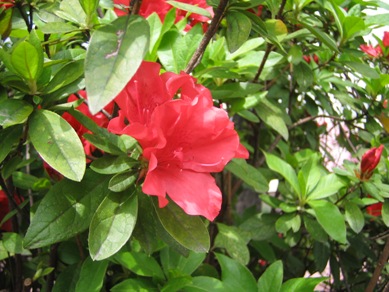 a0036626_22151251.jpg